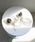 utatane�i�E�^�^�l�j�́u������ �����N���A�t�����[������ ���{���i�a�������j�v�b�u���b�N