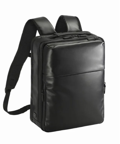 ACE GENE（エースジーン）の「≪ACEGENE エースジーン／EVL-2.5≫A4