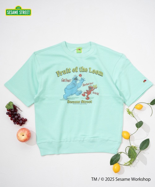 FRUIT OF THE LOOM(フルーツオブザルーム)の「【FRUIT OF THE LOOM】SESAME STREET×FTL ハーフスリーブ甘編/セサミコラボ/プルオーバー(スウェット・メンズ・ミント/パープル・S/L/M)」の1枚目の写真