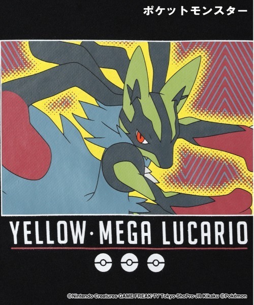 Right-on（ライトオン）の「【POKEMON】スウェット（スウェット・キッズ・ダークグレー/ブラック/グレー・110/120/130/140）」の9枚目の写真