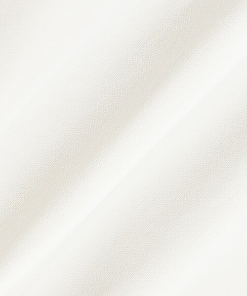 SLOANE(スローン)の「SLOANE / 18ゲージ 天竺 クルーネック ショートスリーブ ニット(ニット/セーター・レディース・ベージュ/ホワイト・2)」の5枚目の写真