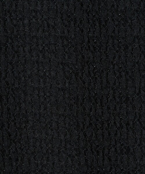 ASTRAET（アストラット）の「＜ASTRAET＞レース クルーネックカットソー（Tシャツ/カットソー・レディース・ブラック/ホワイト・FREE）」の18枚目の写真