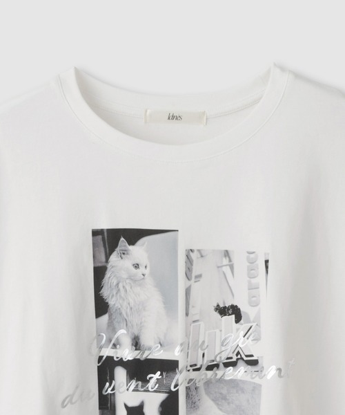 Mac-House（マックハウス）の「Idnes CatフォトコラージュTシャツ（Tシャツ/カットソー・レディース・オフホワイト/ベージュ/ブラック/グレー・FREE）」の6枚目の写真
