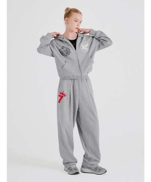 FABULOUS ARCHIVE（ファビュラスアーカイブ）の「PEGASUS CROP HOODIE ZIP-UP MELANGRAY(FCG1ZP694M)（パーカー・レディース・ライトグレー・MEDIUM）」の11枚目の写真