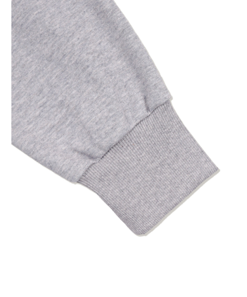 FABULOUS ARCHIVE（ファビュラスアーカイブ）の「PEGASUS CROP HOODIE ZIP-UP MELANGRAY(FCG1ZP694M)（パーカー・レディース・ライトグレー・MEDIUM）」の3枚目の写真