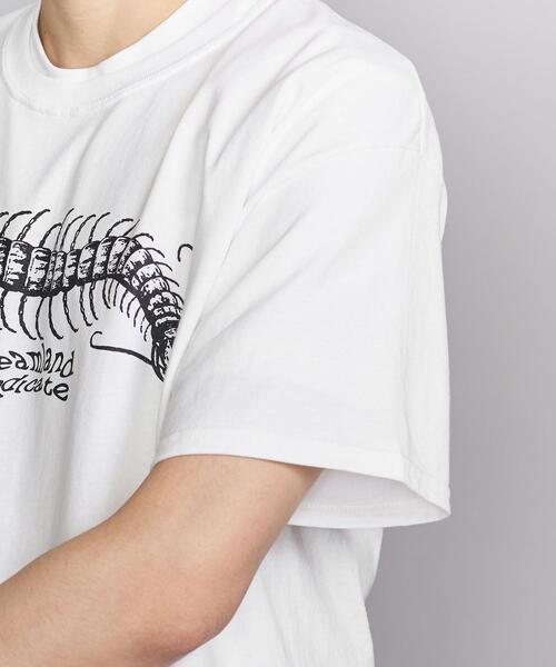DREAMLAND SYNDICATE（ドリームランドシンジケート）の「＜DREAMLAND SYNDICATE＞ CENTIPEDE TEE/Tシャツ（Tシャツ/カットソー・メンズ・ホワイト・LARGE/MEDIUM/X-LARGE）」の4枚目の写真