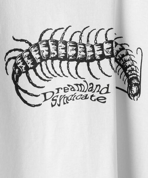 DREAMLAND SYNDICATE（ドリームランドシンジケート）の「＜DREAMLAND SYNDICATE＞ CENTIPEDE TEE/Tシャツ（Tシャツ/カットソー・メンズ・ホワイト・LARGE/MEDIUM/X-LARGE）」の5枚目の写真