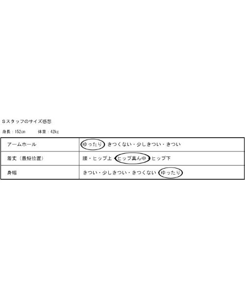 antiqua(アンティカ)の「スタンドカラーシャツ(シャツ/ブラウス・レディース・オフホワイト/ブラック・FREE)」の19枚目の写真