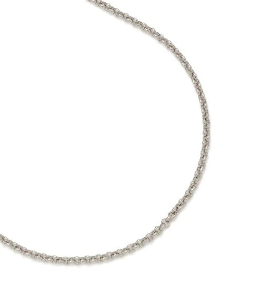 N.（N. Natural Beauty Basic）（エヌエヌナチュラルビューティーベーシック）の「マンテルディテールネックレス（ネックレス・レディース・シルバー/ゴールド・FREE）」の5枚目の写真