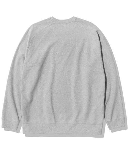 THE NORTH FACE(ザノースフェイス)の「【THE NORTH FACE / ザ ノースフェイス】Micro Fleece Crew(Tシャツ/カットソー・メンズ・ブラック/グレー/ブラウン/ウッド・MEDIUM/LARGE/X-LARGE)」の6枚目の写真
