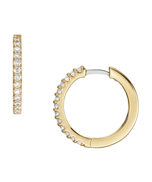 FOSSIL(フォッシル)の「フォッシル アクセサリー レディース ピアス ゴールド JA7215710(ピアス(両耳用)・レディース・ゴールド・FREE)」の6枚目の写真