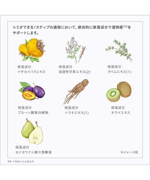 ETVOS（エトヴォス）の「薬用 ホワイトニングクリアローション 【医薬部外品】（化粧水・レディース・その他・FREE）」の9枚目の写真