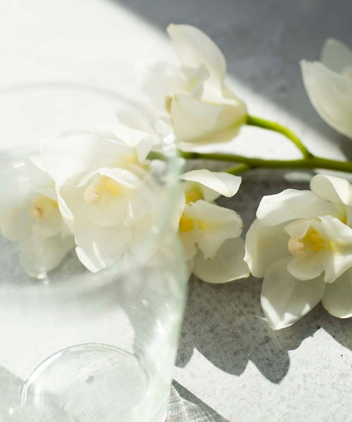 ONEME（ワンム）の「【ONEME】マウスミスト 30ml（オーラルケア/歯磨きグッズ・レディース・その他・FREE）」の5枚目の写真