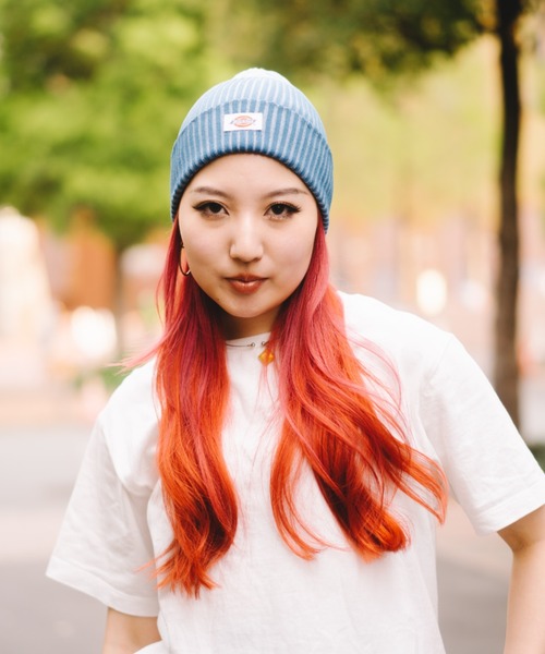 Dickies（ディッキーズ）の「Dickies コットンニットワッチ/ロゴ/ニット帽/フリーサイズ/帽子/キャップ/ディッキーズ（ニットキャップ/ビーニー・メンズ・イエロー/ブルー/ブラック・FREE）」の2枚目の写真