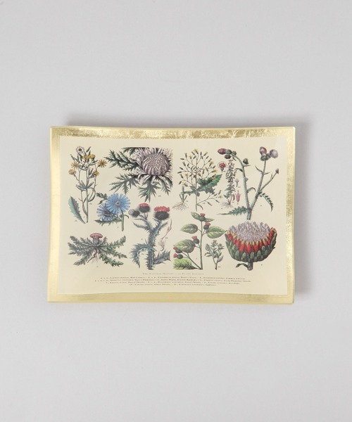 TODAY'S SPECIAL（トゥデイズスペシャル）の「【Arti】ガラストレイ レクタングル/360861（インテリア雑貨・レディース・その他/その他2/その他3/その他4/その他5/ホワイト・FREE）」の2枚目の写真