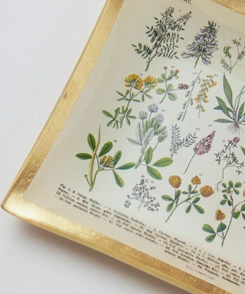 TODAY'S SPECIAL（トゥデイズスペシャル）の「【Arti】ガラストレイ レクタングル/360861（インテリア雑貨・レディース・その他/その他2/その他3/その他4/その他5/ホワイト・FREE）」の14枚目の写真