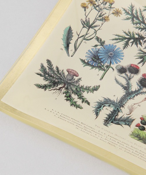 TODAY'S SPECIAL（トゥデイズスペシャル）の「【Arti】ガラストレイ レクタングル/360861（インテリア雑貨・レディース・その他/その他2/その他3/その他4/その他5/ホワイト・FREE）」の17枚目の写真