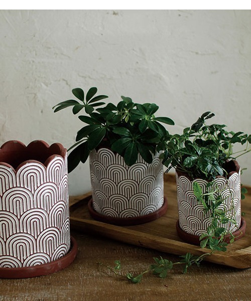 GEORGE'S（ジョージズ）の「ホワイトラインプランター Sサイズ