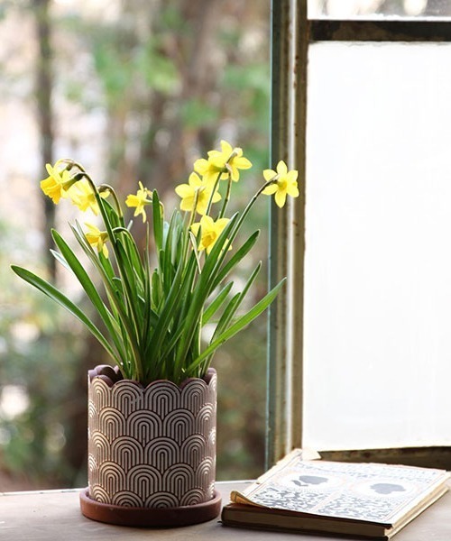 flower Sサイズ GEORGE'S（ジョージズ）の「ホワイトラインプランター Sサイズ