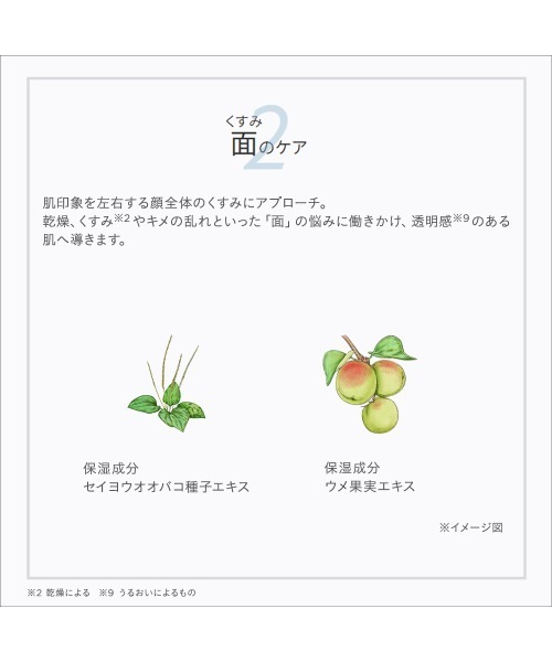 ETVOS(エトヴォス)の「薬用 ホワイトニングクリアセラムW 【医薬部外品】(美容液/オイル/クリーム・レディース・その他・FREE)」の9枚目の写真