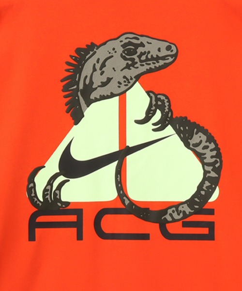 NIKE AS M ACG DF TEE OC IGUANA / ナイキ ACG DF OC イグアナ S