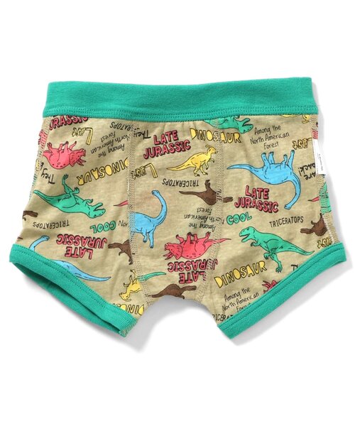 BREEZE（ブリーズ）の「BOYSバラエティボクサーパンツ（ボクサーパンツ・キッズ・レッド/グリーン/チャコール/ブルー・100/110/120/130/140/150）」の9枚目の写真