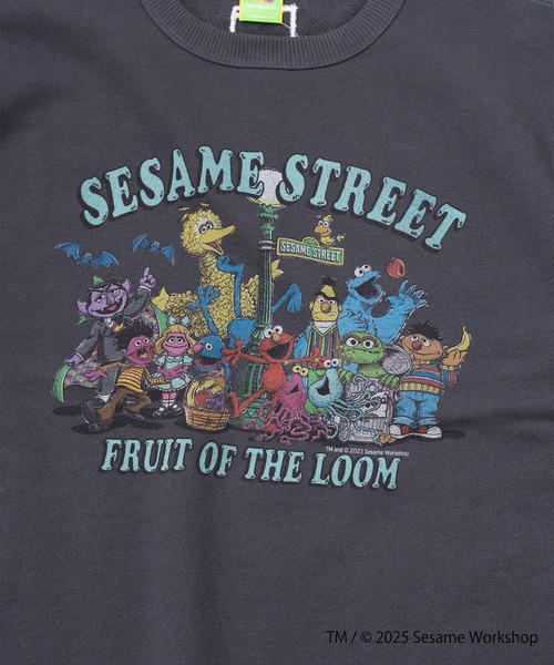 FRUIT OF THE LOOM(フルーツオブザルーム)の「【FRUIT OF THE LOOM】SESAME STREET×FTL ロングスリーブ甘編/セサミコラボ/プルオーバー(スウェット・メンズ・アイボリー/ブラック・S/L/M)」の6枚目の写真