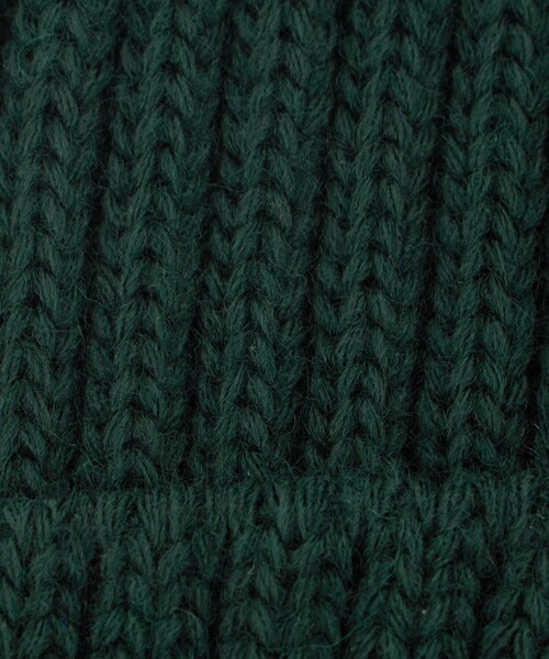 THE NORTH FACE（ザノースフェイス）の「＜THE NORTH FACE＞カプッチョリッド / ニット帽子 / キッズ（ニットキャップ/ビーニー・キッズ・ベージュ/ブラック/ケリーグリーン/ターコイズブルー系・FREE）」の13枚目の写真