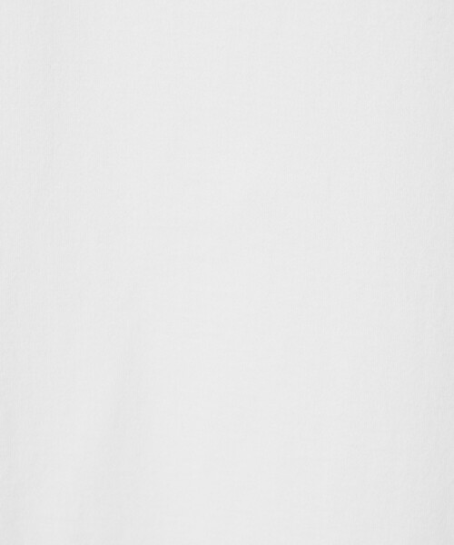 Steven Alan（スティーブンアラン）の「＜Steven Alan＞ オーガニックコットン ショートスリーブ Tシャツ（Tシャツ/カットソー・メンズ・ホワイト/ワインレッド/ダークグレー/ロイヤルブルー/モカ/ブラック・L/XL/S/M）」の19枚目の写真