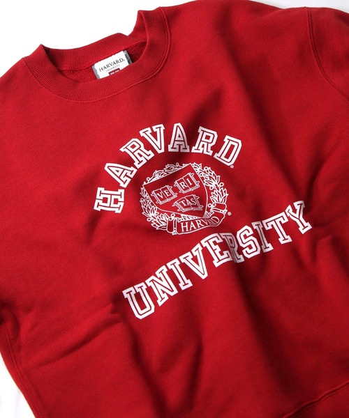 Lee（リー）の「Ｌｅｅカレッジロゴスウェット（スウェット・レディース・レッド・M）」の7枚目の写真