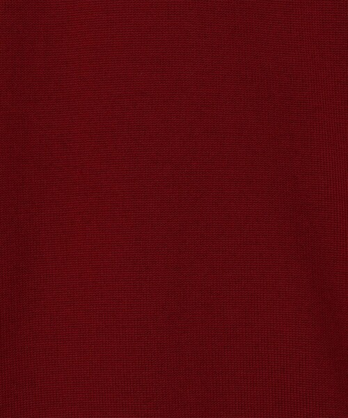 TOMORROWLAND (トゥモローランド)の「【WEB先行予約】TOMORROWLAND tricot メリノベーシック クルーネックプルオーバーニット(ニット/セーター・メンズ・サックスブルー/ネイビー/チャコールグレー/ダークグリーン/ブルー/レッド/ダークブラウン/ブラウン/ホワイト・XL/L/M/S)」の21枚目の写真