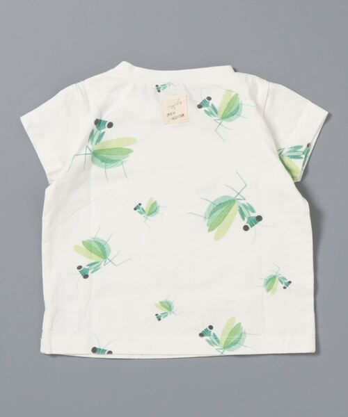 INSECT COLLECTION（インセクトコレクション）の「抗ウイルス・抗菌・防汚・消臭ランダムかまきりくんTシャツ（Tシャツ/カットソー・キッズ・オフホワイト・S/XL/M/L）」の2枚目の写真