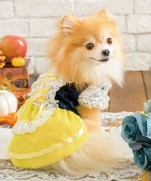 セール Cannana きゃんナナ プリンセス系チュールドレス 犬服 ドッグウェア ペットウェア Cannana キャンナナ のファッション通販 Zozotown