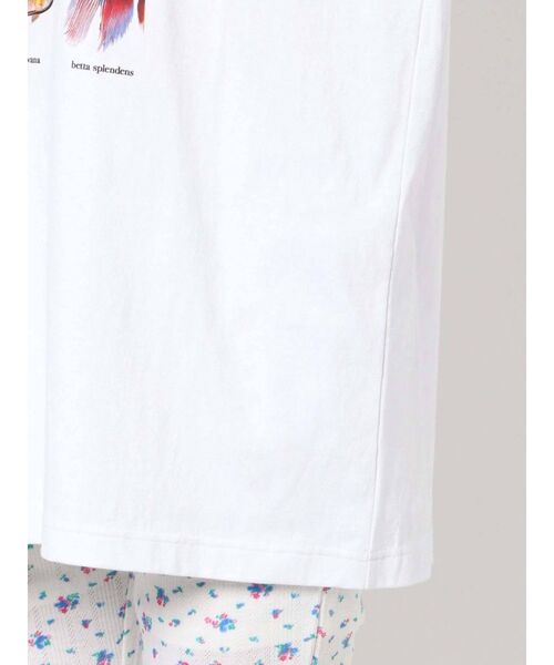 merry jenny(メリージェニー)の「熱帯魚図鑑Tee(Tシャツ/カットソー・レディース・オフホワイト/ブラック・FREE)」の19枚目の写真