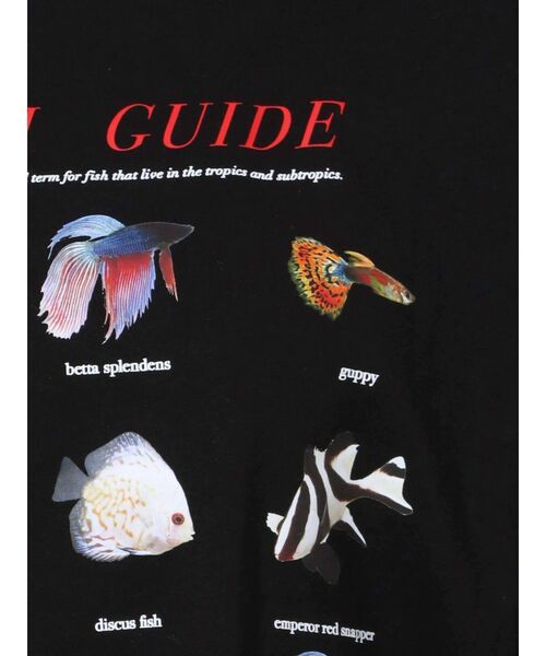 merry jenny(メリージェニー)の「熱帯魚図鑑Tee(Tシャツ/カットソー・レディース・オフホワイト/ブラック・FREE)」の15枚目の写真