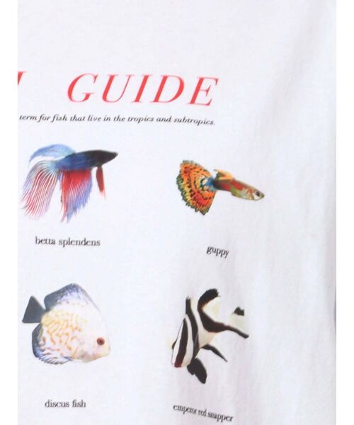 merry jenny(メリージェニー)の「熱帯魚図鑑Tee(Tシャツ/カットソー・レディース・オフホワイト/ブラック・FREE)」の11枚目の写真