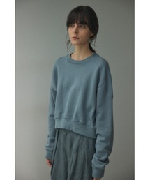 frosting sweat tops(フロスティングスウェットトップス)