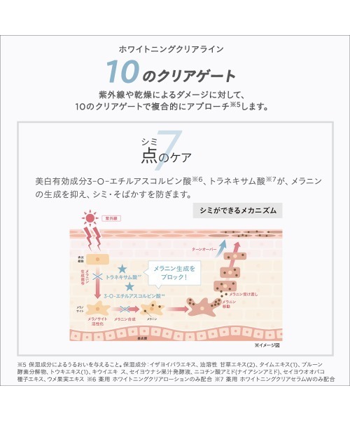 ETVOS（エトヴォス）の「ホワイトニングライン ファーストキット（スキンケアキット/ギフトセット・レディース・その他・FREE）」の4枚目の写真