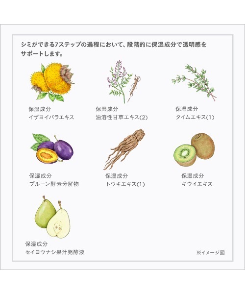 ETVOS（エトヴォス）の「ホワイトニングライン ファーストキット（スキンケアキット/ギフトセット・レディース・その他・FREE）」の5枚目の写真