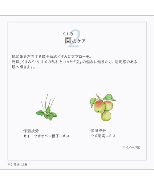 ETVOS（エトヴォス）の「ホワイトニングライン ファーストキット（スキンケアキット/ギフトセット・レディース・その他・FREE）」の6枚目の写真