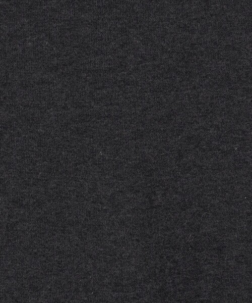 ドウイスエット フーデットベスト（スウェット）｜GALERIE VIE（ギャルリー ヴィー）