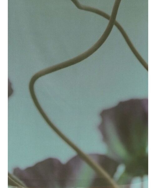 MURUA（ムルーア）の「プリントシアーナロースカート（スカート・レディース・グレー/ブラック/ライトグリーン・FREE）」の12枚目の写真