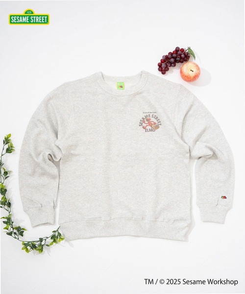 FRUIT OF THE LOOM(フルーツオブザルーム)の「【FRUIT OF THE LOOM】SESAME STREET×FTL ロングスリーブ甘編/セサミコラボ/プルオーバー(スウェット・メンズ・ブルー/杢グレー・M/L/S)」の2枚目の写真