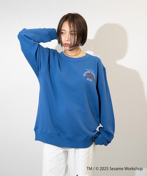 FRUIT OF THE LOOM(フルーツオブザルーム)の「【FRUIT OF THE LOOM】SESAME STREET×FTL ロングスリーブ甘編/セサミコラボ/プルオーバー(スウェット・メンズ・ブルー/杢グレー・M/L/S)」の8枚目の写真