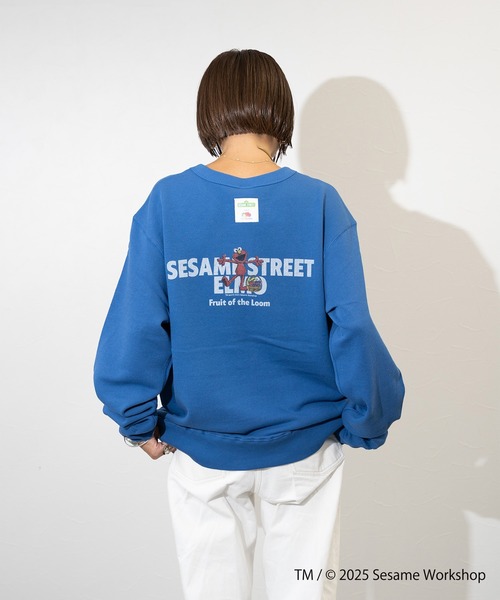 FRUIT OF THE LOOM(フルーツオブザルーム)の「【FRUIT OF THE LOOM】SESAME STREET×FTL ロングスリーブ甘編/セサミコラボ/プルオーバー(スウェット・メンズ・ブルー/杢グレー・M/L/S)」の10枚目の写真