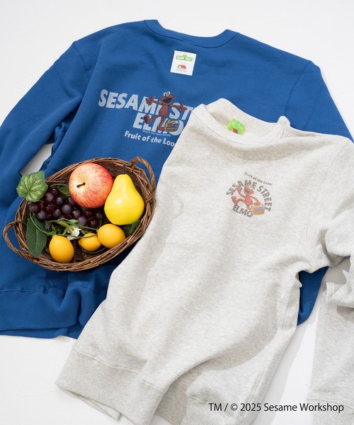 FRUIT OF THE LOOM(フルーツオブザルーム)の「【FRUIT OF THE LOOM】SESAME STREET×FTL ロングスリーブ甘編/セサミコラボ/プルオーバー(スウェット・メンズ・ブルー/杢グレー・M/L/S)」の3枚目の写真