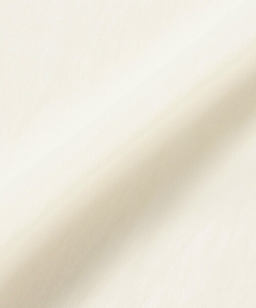 BEAMS COUTURE(ビームスクチュール)の「シアーボディスーツ(Tシャツ/カットソー・レディース・オフホワイト/ブラック・ONE SIZE)」の16枚目の写真