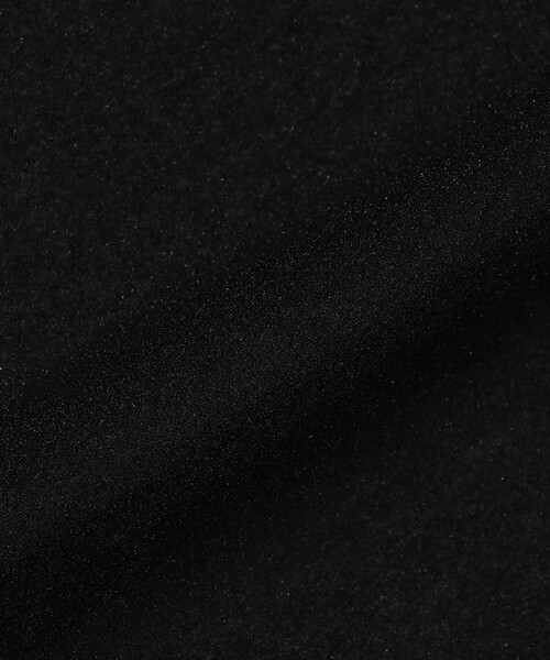 BEAMS COUTURE(ビームスクチュール)の「シアーボディスーツ(Tシャツ/カットソー・レディース・オフホワイト/ブラック・ONE SIZE)」の10枚目の写真