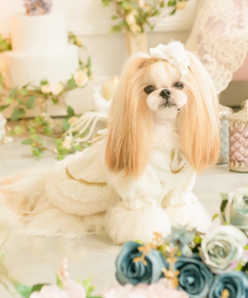 新入荷 Cannana きゃんナナ リッチファーウィンタードレス 犬服 ドッグウェア 最新モデルが入荷