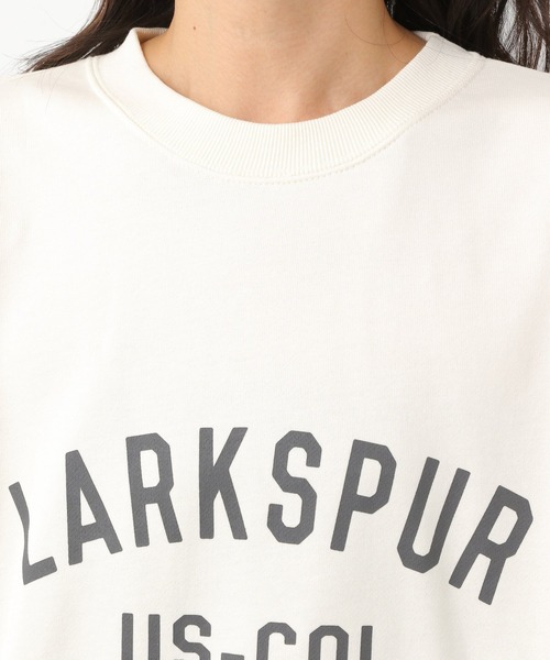 LEPSIM（レプシィム）の「アソートプリントプルオーバー　229718（スウェット・レディース・オフホワイト/グリーン/グレー・FREE）」の11枚目の写真